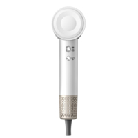 Sèche-cheveux à moteur sans balais haute vitesse 110000 tr/min avec lumière LED pour hôtel et usage domestique
