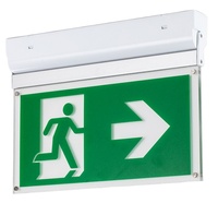 Panneau LED d'urgence à batterie LFP rechargeable, avec sortie en PVC personnalisée, boîtier PC, panneau acrylique, surface CE, AC220V