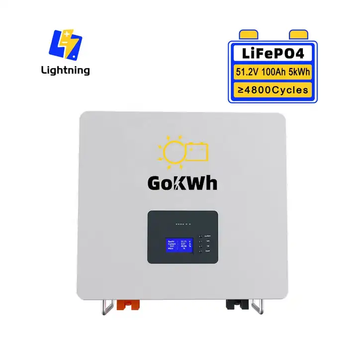 GoKWh Good Price 48V 51.2V 100Ah Wall Mount Lithium ion Battery