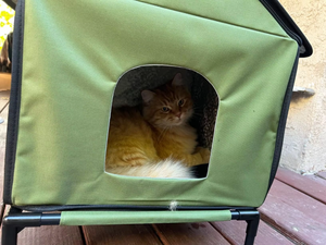 Nueva Casa de gato calentada al aire libre exterior impermeable seguro cálido perro cama para dormir calentada - Product Image 5