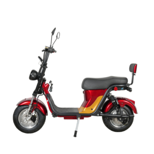 Monopattino Elettrico Citycoco 2026 Potente con Doppio Motore, Pneumatici da 10 Pollici, Velocità 25KM/H, Modello Brasile - Product Image 1