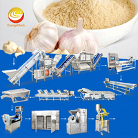 Orme Automatisch Knoflookpoederproces Plant Knoflookschil Procesmachine Knoflookpoeder Productielijn