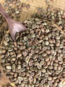 A Plus 95 a 99% Pureza Robusta Tamaño 16 Origen de Vietnam Granos de café verde A 60kg Bolsas a granel de alta calidad - Product Image 5