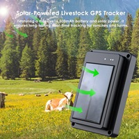 Nouveau Traceur GPS pour Animaux de Compagnie en Temps Réel Étanche IP68 Alimenté par Énergie Solaire 4G/2G pour Moutons Vaches Bovins avec Alarme de Retrait Collier Localisateur GPS