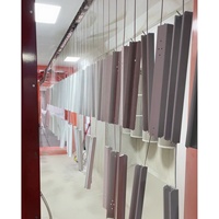 Ligne de revêtement par pulvérisation spécialement conçue pour les panneaux de mur-rideau en aluminium extérieurs, finition fluorocarbone uniforme et stable