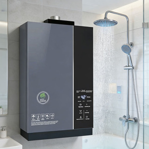 Chauffe-eau à gaz sans réservoir en acier inoxydable pour toute la <span class=keywords><strong>maison</strong></span>, à température constante, 24 kW, pour douche et salle de bain, <span class=keywords><strong>prix</strong></span> raisonnable - Product Image 1