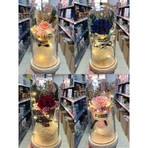 Fiore eterno con la luce in una cupola di vetro 9x20cm-decorazione di san valentino