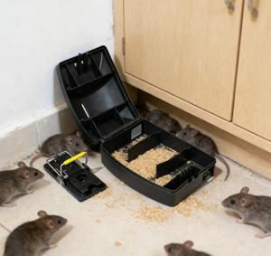 Estación de Cebo para Ratones BSTW, Venta Directa de Fábrica, Caja de Cebo Duradera, Control de Plagas, Trampa para Roedores, Mata Ratones - Product Image 2