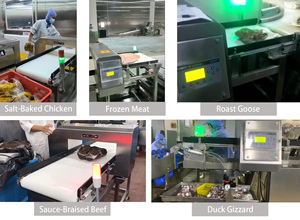 Detector de Metales Industrial Personalizado bibo con Rechazo por Palanca de Empuje para la Industria Alimentaria, Plástica y Química - Product Image 4
