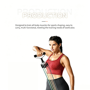 Portable Multifunctional Durable <b>Resistance</b> <b>Band</b> 11-Piece Tension Antislip Rope <b>Set</b> 100lb <b>Resistance</b> <b>Band</b> <b>Set</b> for Fitness - Product Image 4