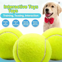 Balle pour animaux de compagnie en caoutchouc élastique, style tennis, résistante à l'usure, jouet interactif pour l'entraînement et le jeu de rapport, accessoire pour le nettoyage des dents, 6,5 cm