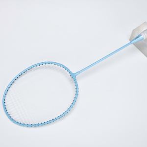 Racchetta da Badminton Professionale in Lega di Ferro con Asta in Acciaio di Alta Qualità, Set Doppio Ultra Leggero e Resistente con Corpo Divisibile ad Alta Rigidità - Product Image 2