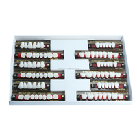 Résine acrylique dentaire multicouche, dents synthétiques, ensemble complet, matériel de laboratoire pour prothèses orthodontiques