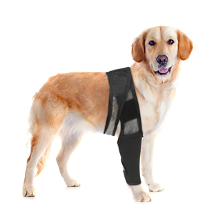 Pet Dog <b>Knee</b> <b>Brace</b> Rear Leg <b>Support</b> for Joint Pain Muscle Sore Elderly Disabled Injured Dogs Leg Bracer for Mobility Aid - Product Image 2