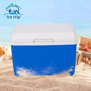 Camping Portable Ice Box Car Refrigerator 8L Mini Fridge Beverage Drink Beer Food Chest Freezer Cooling Storage Thermal Bag