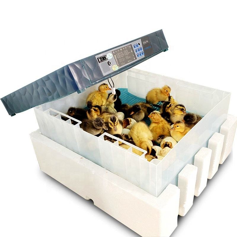 plastic incubator with 320 poultry eggs