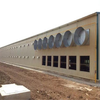 Poules pondeuses préfabriquées Fermes d'élevage de poulets Structure en acier Cage pour poules pondeuses Ferme avicole Cage pour poules pondeuses