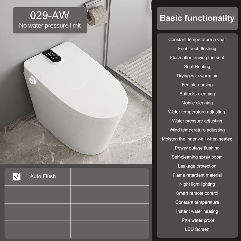 Édition standard-029AW-