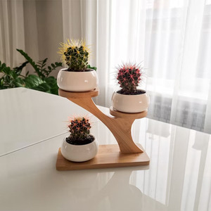 Support de Cactus Succulent <span class=keywords><strong>en</strong></span> Bois Support de Plantes Écologique Moderne pour 3 Petits Pots de Fleurs Décorations de Rebord de Fenêtre de Table - Product Image 4