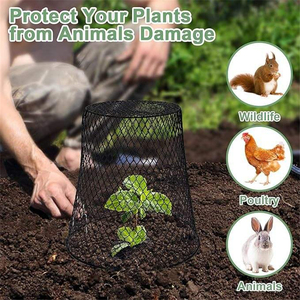 Cloche pour plantes en métal robuste, conique, en treillis métallique, protection contre les parasites et les animaux pour les semis de jardin et les plantes en pot - Product Image 5