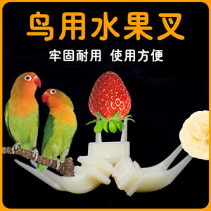 Blackbird <b>Bird</b> <b>Feeder</b> Plastic Reusable Small Fruit Fork For Budgie Cage Accessory - Product Image 4