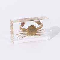Presse-papiers en cristal de taxidermie, spécimen d'insecte crabe réel en résine, outils éducatifs pour l'enseignement - Vente chaude