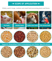 Machine à fabriquer des granulés d'aliments pour animaux, prix compétitif, machine à granulés pour poulets, machine à granulés d'aliments pour animaux à base d'alfalfa