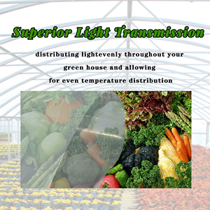 China Manufacture <b>Polythene</b> Tunnel Plastic Agriculture Greenhouse Film for Greenhouse - Product Image 6