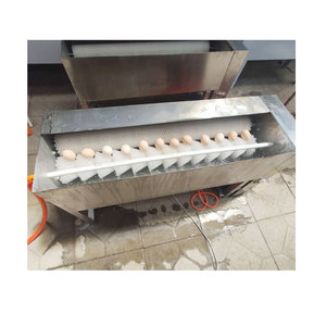 Máquina de Limpieza de Huevos de Alta Calidad/Equipo de Lavado de Huevos en Venta - Product Image 5