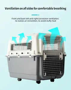 Compagnia aerea di alta qualità canile di lusso grande canile in plastica per animali domestici air box per volo all'aperto per cani case per gatti da viaggio in aria scatola per animali domestici