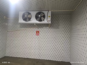 कंप्रेसर R-404A रेफ्रिजरेटर के लिए डबल एयर कंडीशनर वाष्पीरेटर मोटर - Product Image 5