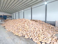 Usine Prix Citrouille Usine De Traitement De Poudre Purée De Citrouille Faisant Des Plantes Fruits Poudre Ligne De Production