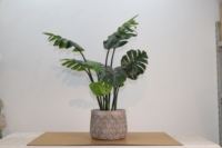 Pots à fleurs en fibres de ciment pour l'Europe, durables, écologiques, pour l'intérieur et l'extérieur, pour la décoration de jardins, d'hôtels et de maisons