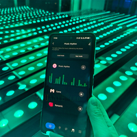 24 projecteurs LED DMX512 adressables et programmables, étanches, avec contrôle externe de la musique pour effets de cascade d'eau