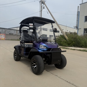 Chariot de <span class=keywords><strong>golf</strong></span> électrique de <span class=keywords><strong>2025</strong></span> Offre Spéciale 2 Seater, batterie au lithium 72V, - Product Image 2