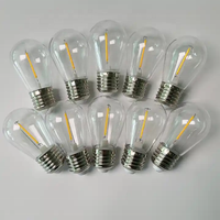 3V 12V 110V 220V 1W 2W 4W incassable éclairage de vacances S14 extérieur guirlandes lumineuses Edison Led ampoules