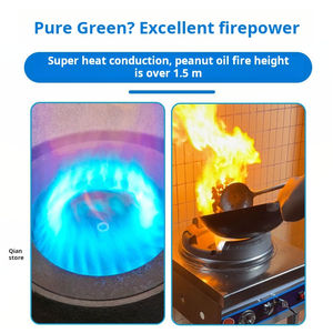 الفولاذ المقاوم للصدأ انخفاض ضغط المنفاخ الطبخ الغاز الطهي الاقتصادية صديقة للبيئة الصينية قلي الغذاء الموقد LPG الغاز الطبيعي - Product Image 2