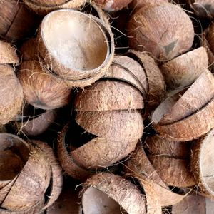 Demi-coquilles de noix de coco du Vietnam écologiques de qualité supérieure, 100 % naturelles, séchées, polies, durables, durée de conservation de 12 mois, pour la fabrication de bougies - Product Image 1