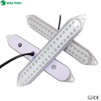 Lampe à 36Led 8.64W ac 24v, 36Led pixels, 280x45mm, automobile programmable, pour parc d'attractions