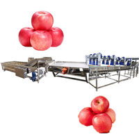 1 jaar garantie Automatische multifunctionele fruitverwerkingsinstallatie voor het reinigen van appels & peren en het wassen van groenten