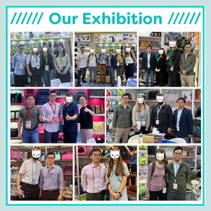 Giubbotto Salvagente per Cani Personalizzato OEM, Estivo, Lussuoso, Regolabile, Riflettente, Impermeabile, per Cani Piccoli, Medi e Grandi - Product Image 6