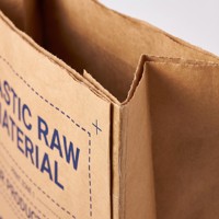 Sac en papier kraft multi-parois robuste de 25 kg pour l'emballage de granulés de matière première plastique (PP, PE), sac en papier durable avec valve