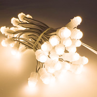 Offre Spéciale! DC12V 9mm Single Color Led Individual Single White Pixel Light pour LOGO Sign