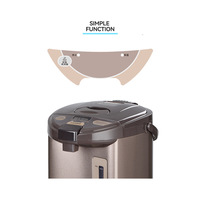 Bouilloire Électrique en Acier Inoxydable 750W 4.5-5.5L avec Fonction de Distribution et Protection Contre l'Ébullition à Sec pour Usage Domestique et Hôtelier