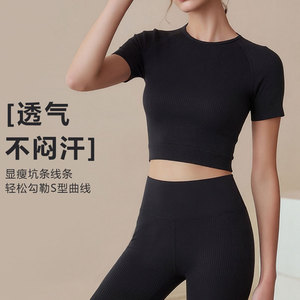 Ensemble de tenue de yoga pour femmes, taille haute, côtelé, 2 pièces, marron, col rond, sans couture, respirant, anti-transpiration, séchage rapide, uni - Product Image 2