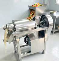 Grote voedingshopper schroefpers sapcentrifuge machine met stabiele motor voor batchproductie van fruit- en groentesap