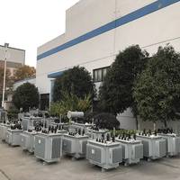 Transformateur de distribution immergé dans l'huile 33 kV 11 kV 200 kVA 11 kV 6 kV 800 kVA 750 kVA 630 kVA 22 kV 6,6 kV 15 kV 20 kV 25 kV 600 kVA 500 kVA