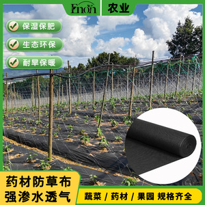 Toile de paillage multifonctionnelle 150g noire et vert foncé pour la plantation de légumes et les semis - Product Image 3