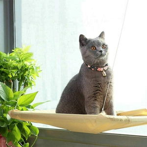 Hamaca para gato, asiento de ventana, malla transpirable, percha para ventana, ahorro de espacio, montada en cama de gato para tomar el sol - Product Image 3