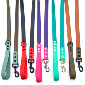 Collier de <span class=keywords><strong>chien</strong></span> en PVC réglable, durable, imperméable et écologique personnalisé avec laisse, ensemble de laisse d'entraînement pour <span class=keywords><strong>chien</strong></span> en PVC réglable - Product Image 2